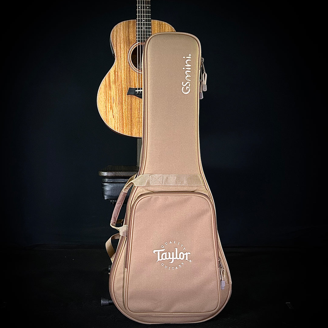 Taylor GS Mini-e-Koa