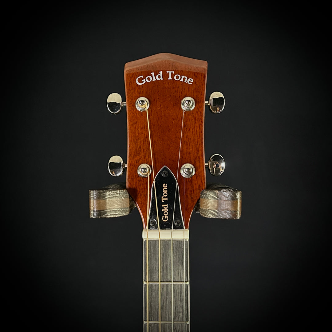 Gold Tone Tenor Guitar