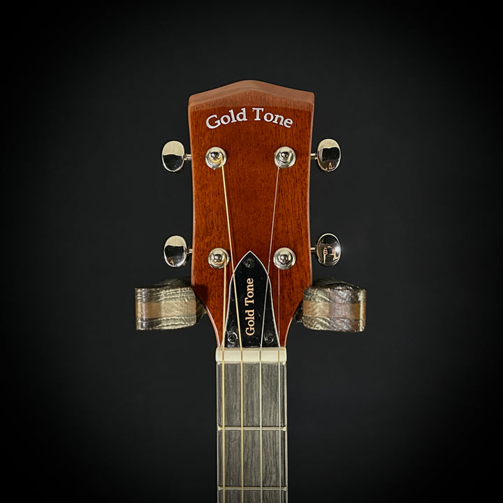 Gold Tone Tenor Guitar