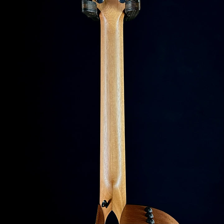 Taylor 114CE