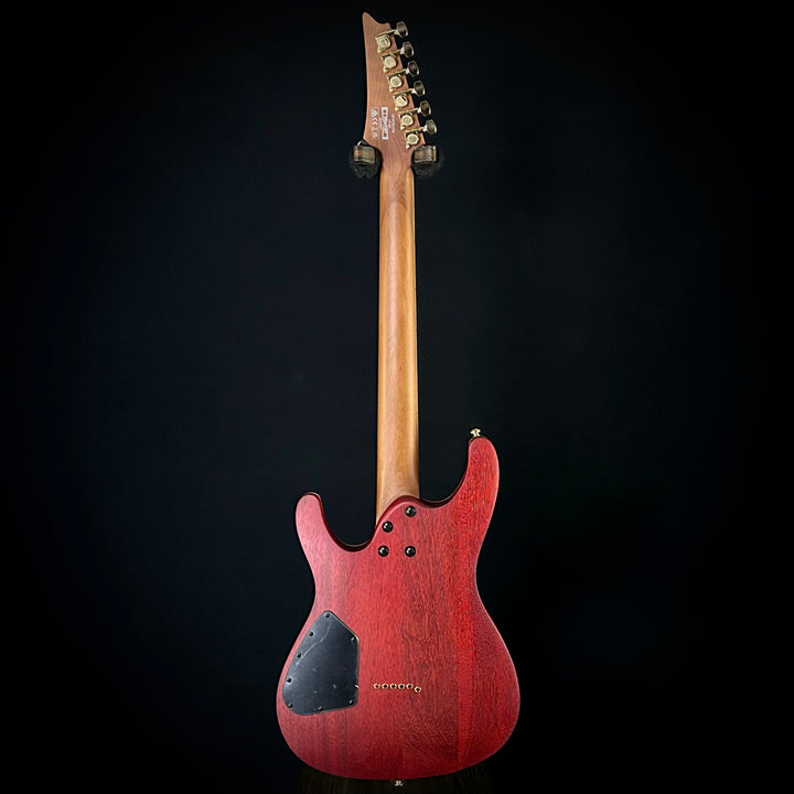 Ibanez Standard SEW761FM