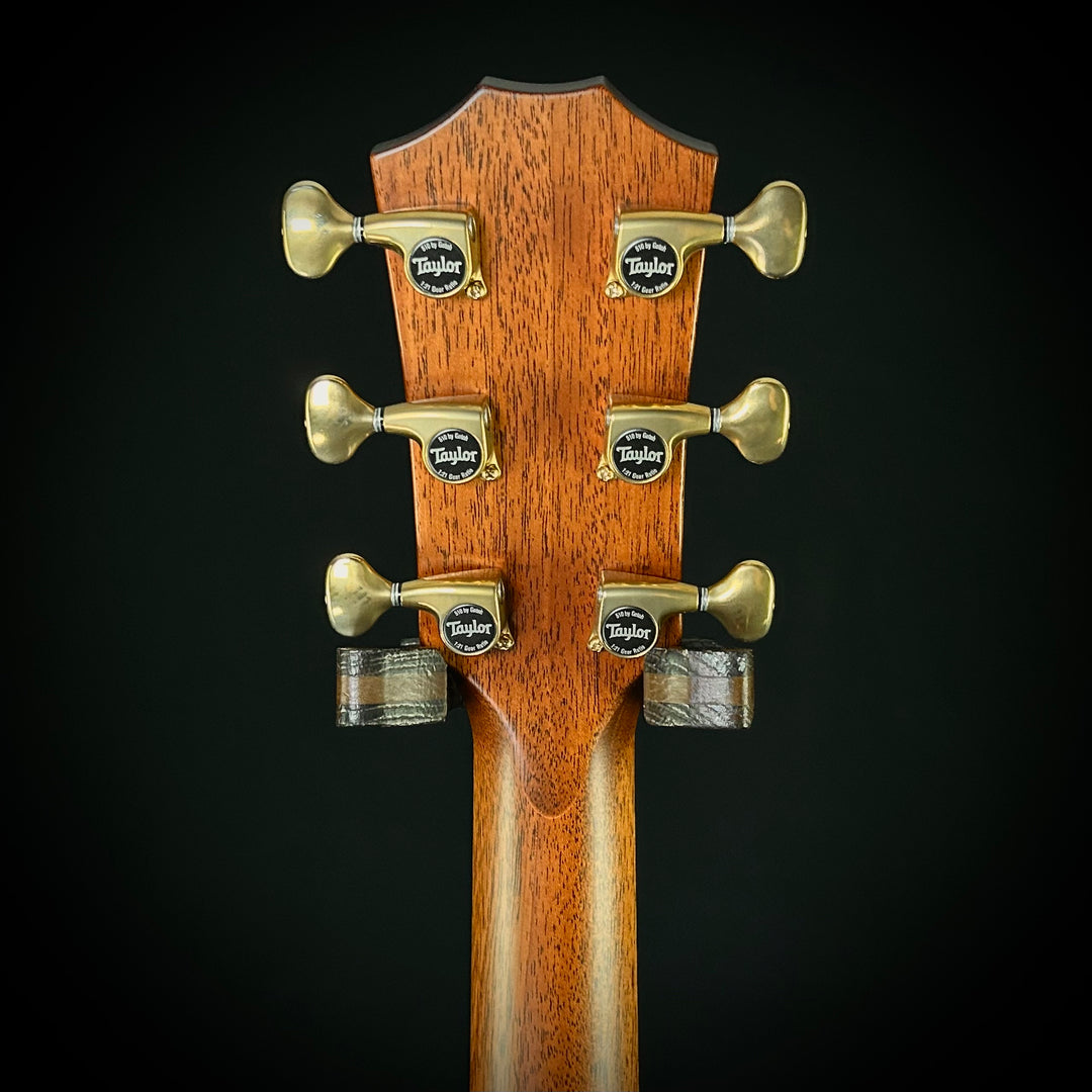 Taylor Builders Edition 814CE - Honduran Rosewood