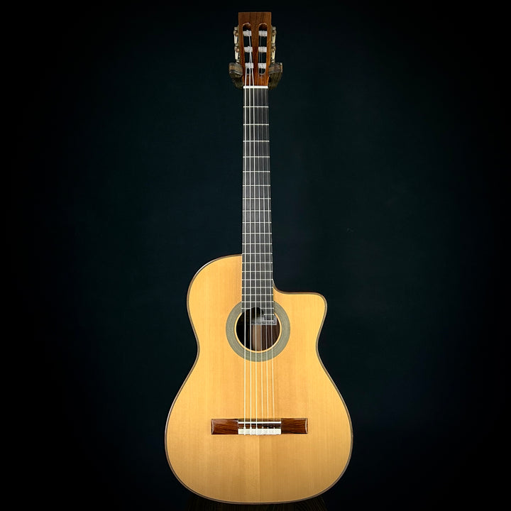 Hill Guitar Co. 2024 Crossover Prototype (USED)