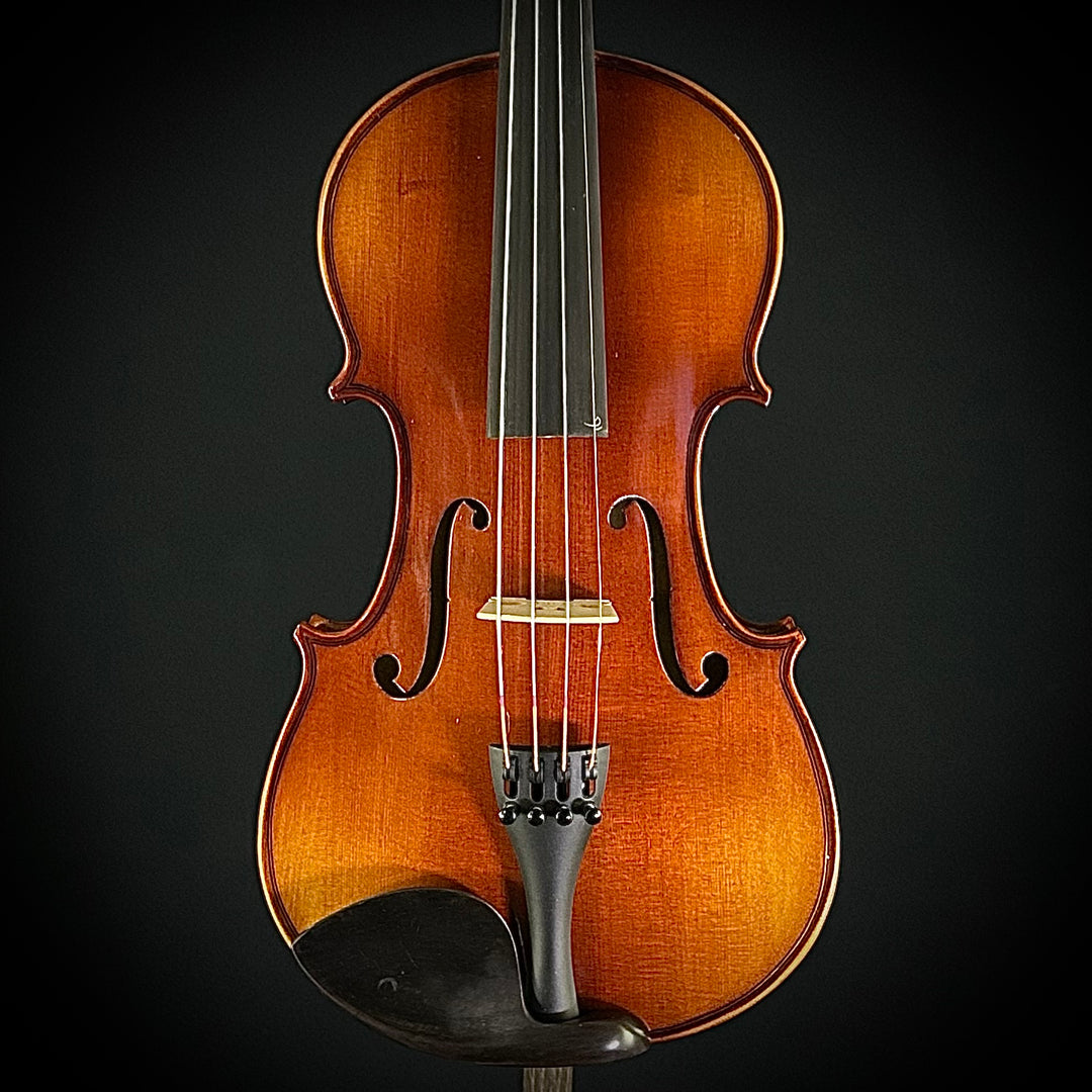 Albini Violin Package (Sizes 4/4, 3/4, 1/2, 1/4)