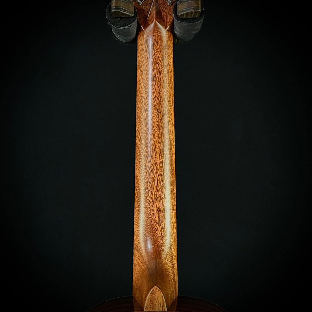 Martin 28 Style, Size-2 - Wild Grain East Indian Rosewood