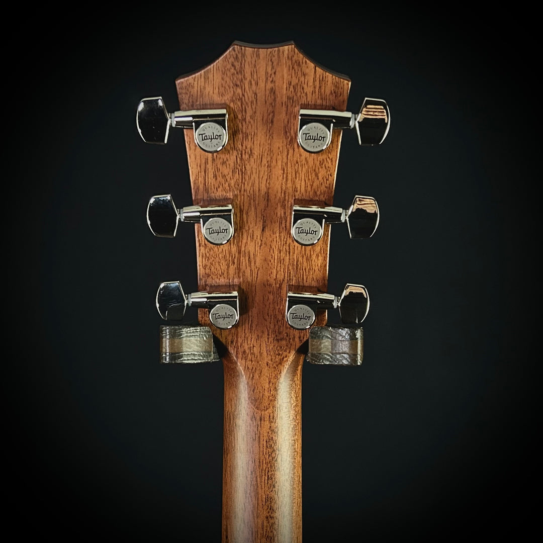 Taylor Next Generation 314ce