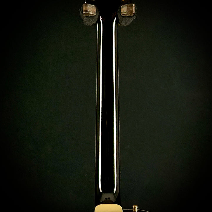 Gretsch G6134TG Limited Gold Paisley Penguin