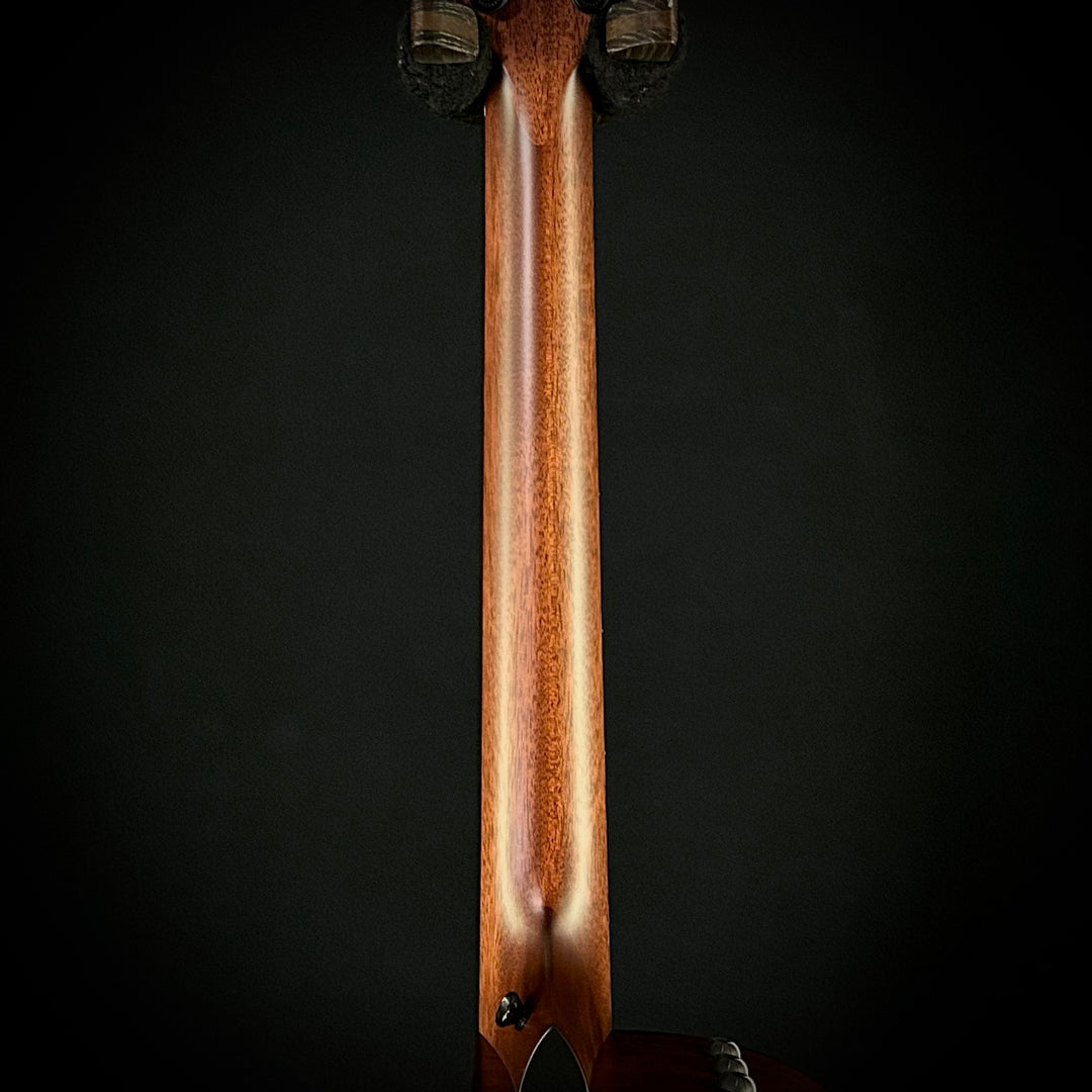 Taylor 324CE Baritone-8 LTD
