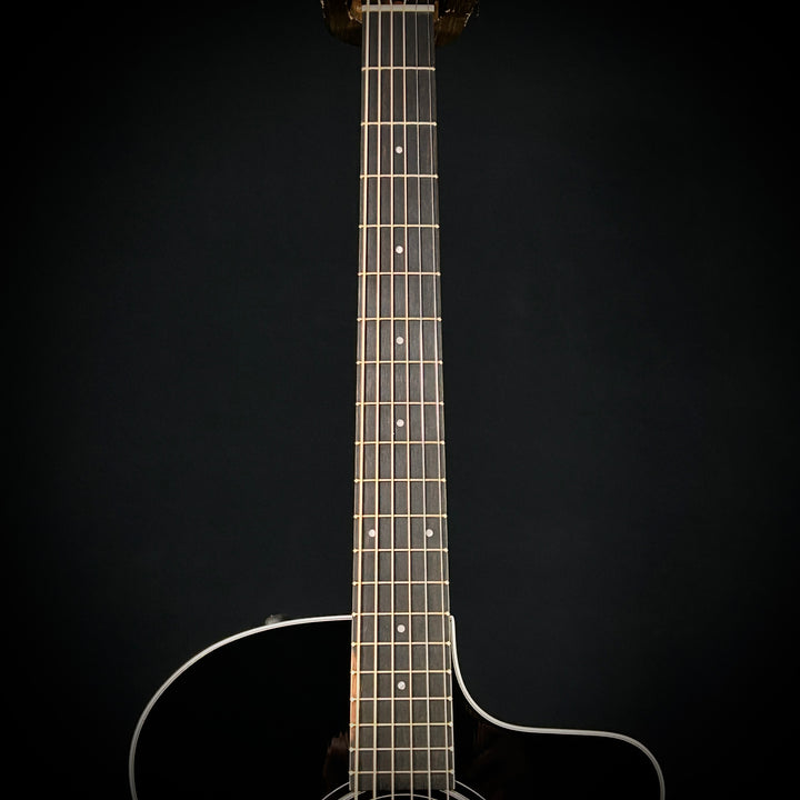 Taylor 214CE Deluxe - Special Edition Black Top