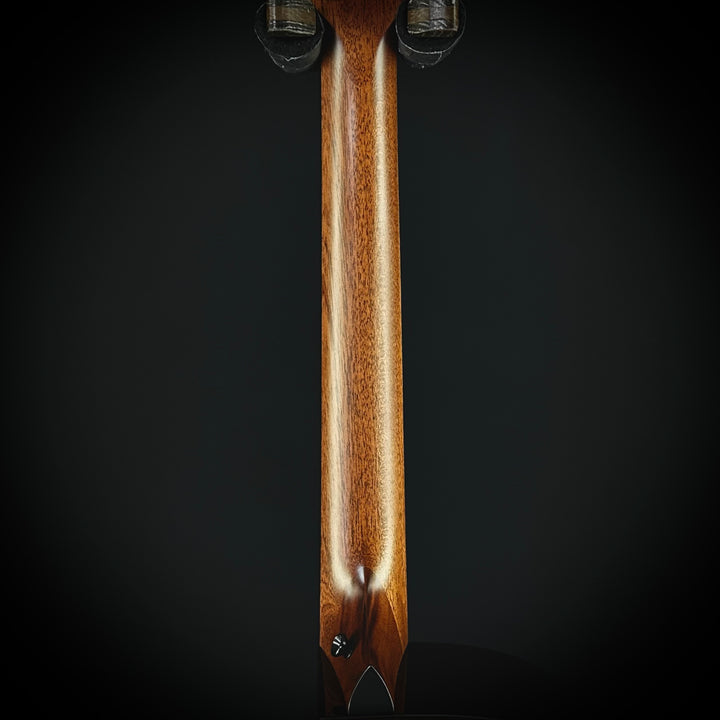 Taylor Next Generation 414CE