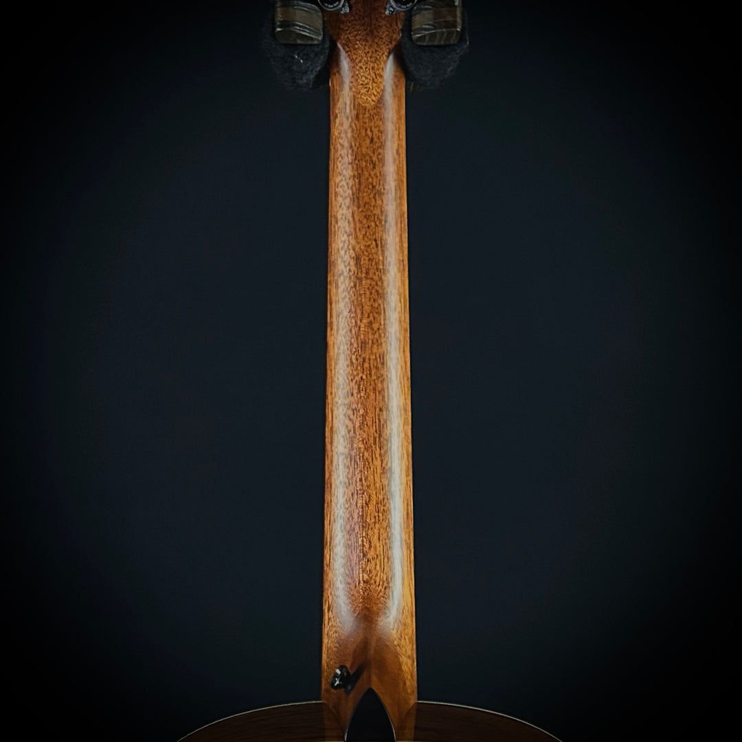 Taylor Gold Label 814e - Honduran Rosewood