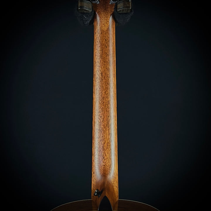 Taylor Gold Label 814e - Honduran Rosewood