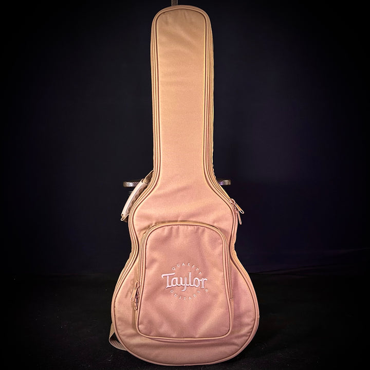 Taylor Academy 12e-Nylon