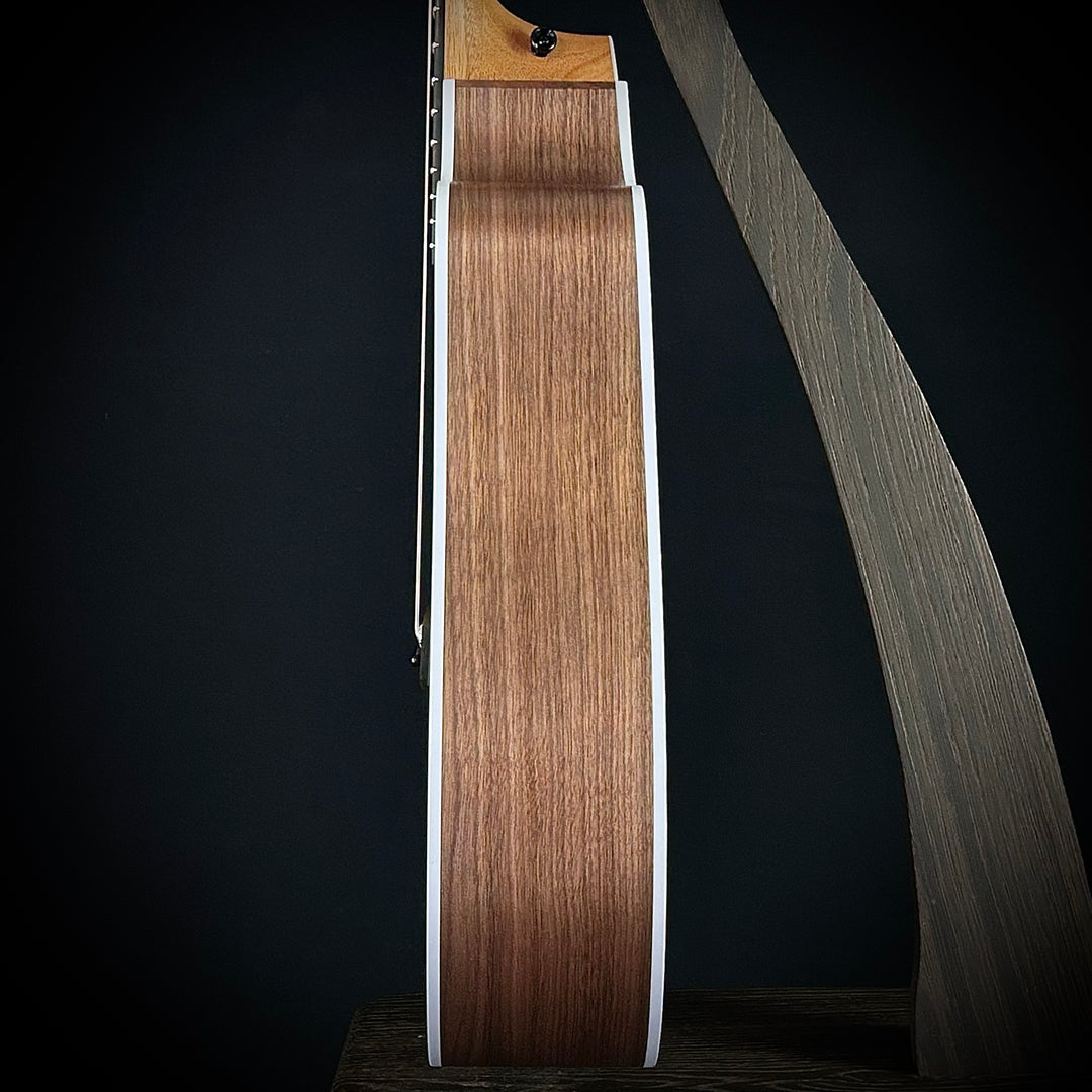 Taylor 210CE