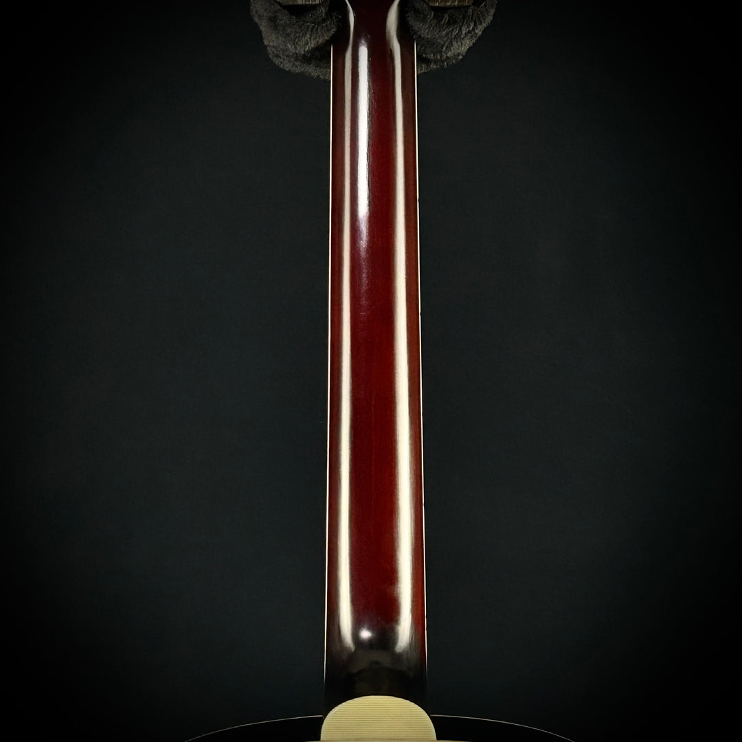 Eastman AR405–P-90 /TV-SB