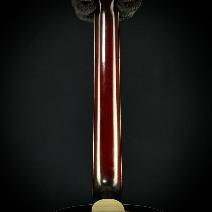 Eastman AR405–P-90 /TV-SB