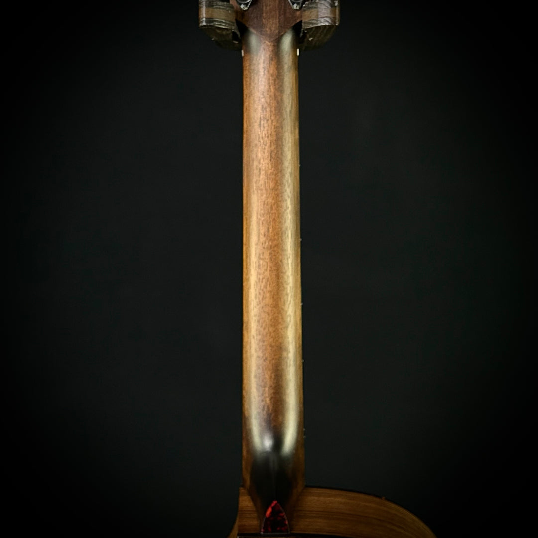 Eastman AC222CE
