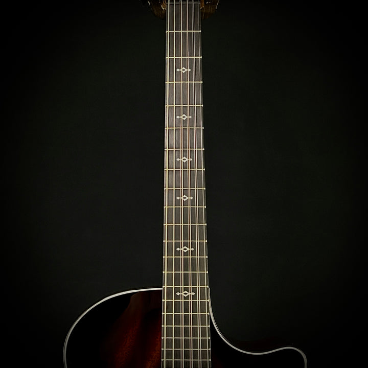 Taylor MV Custom 9-String - Grand Auditorium