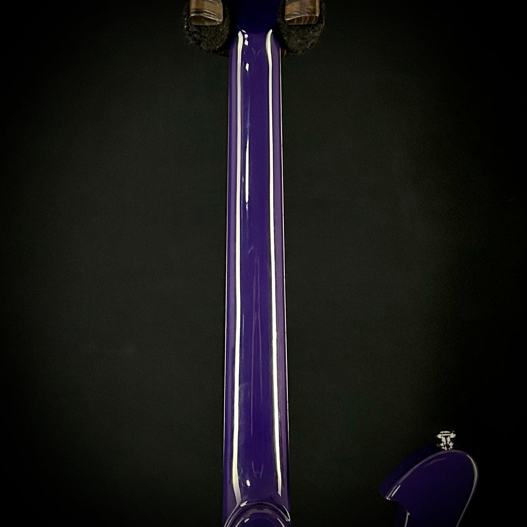Ibanez Paul Gilbert FRM300