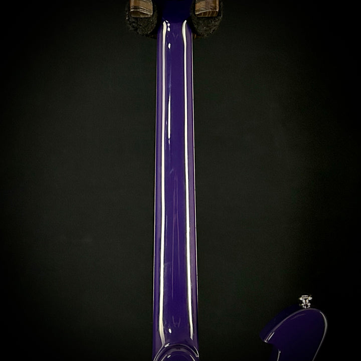 Ibanez Paul Gilbert FRM300