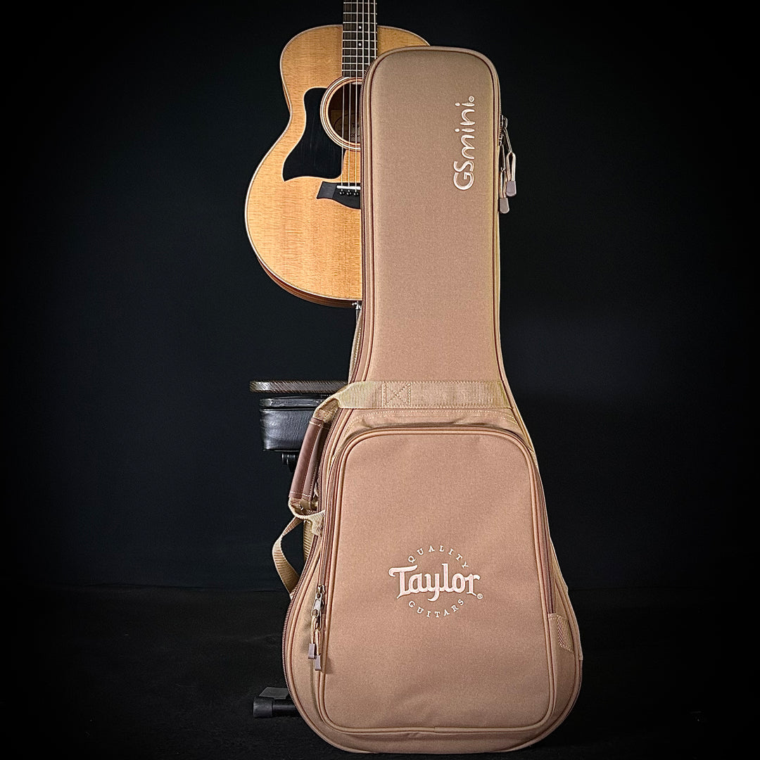 Taylor GS Mini - Lefty
