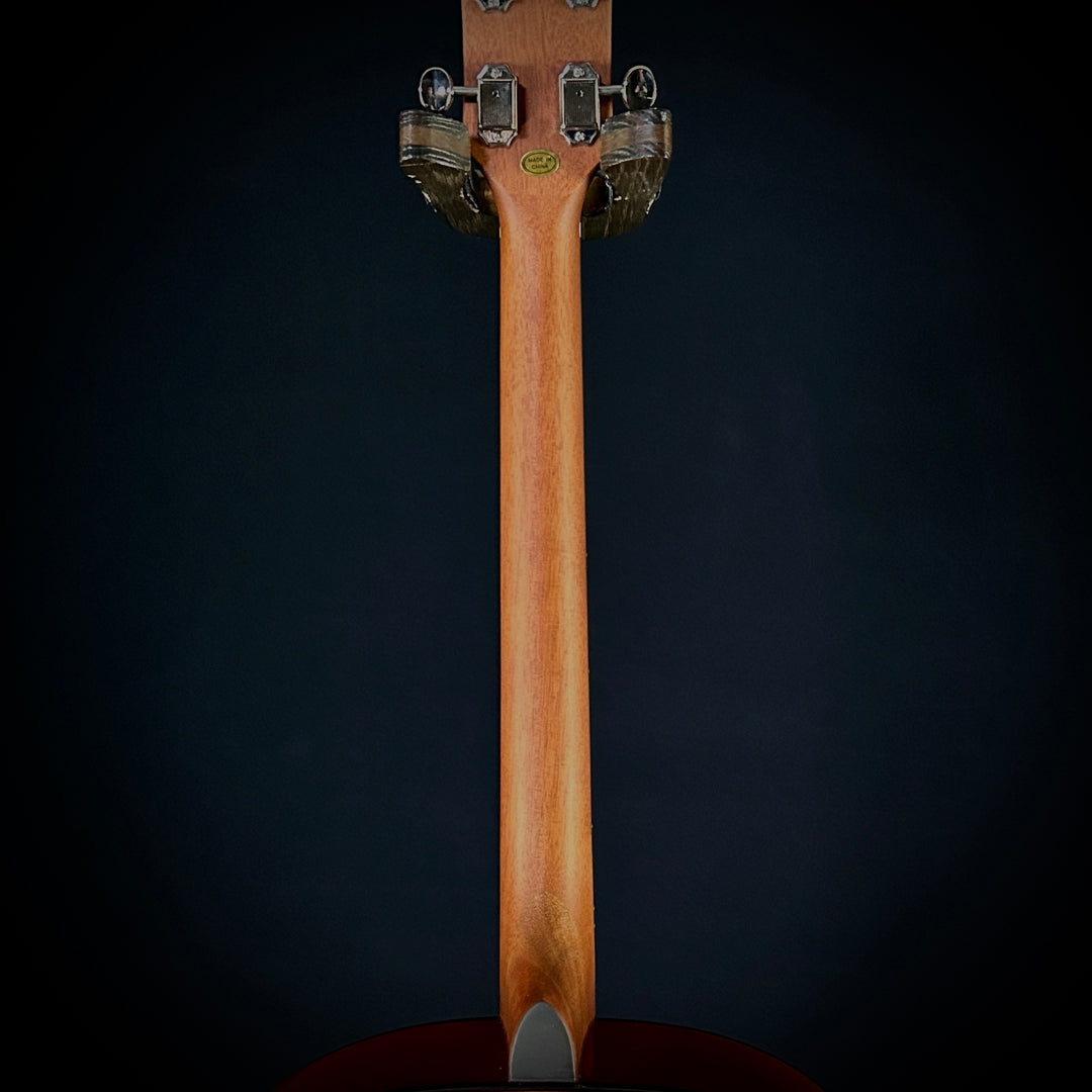 Gold Tone Tenor Guitar