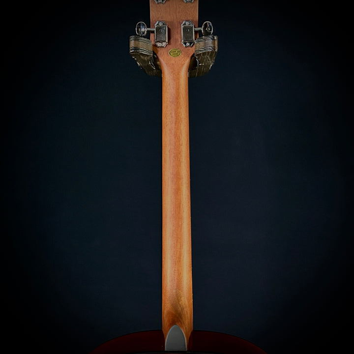 Gold Tone Tenor Guitar