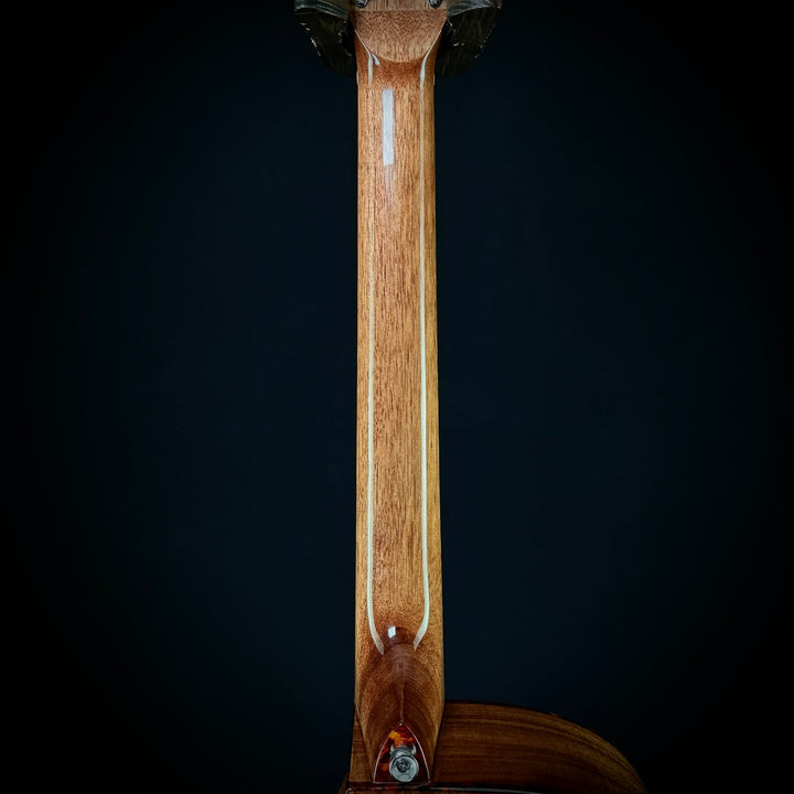 Alvarez RG99 KCE Elite