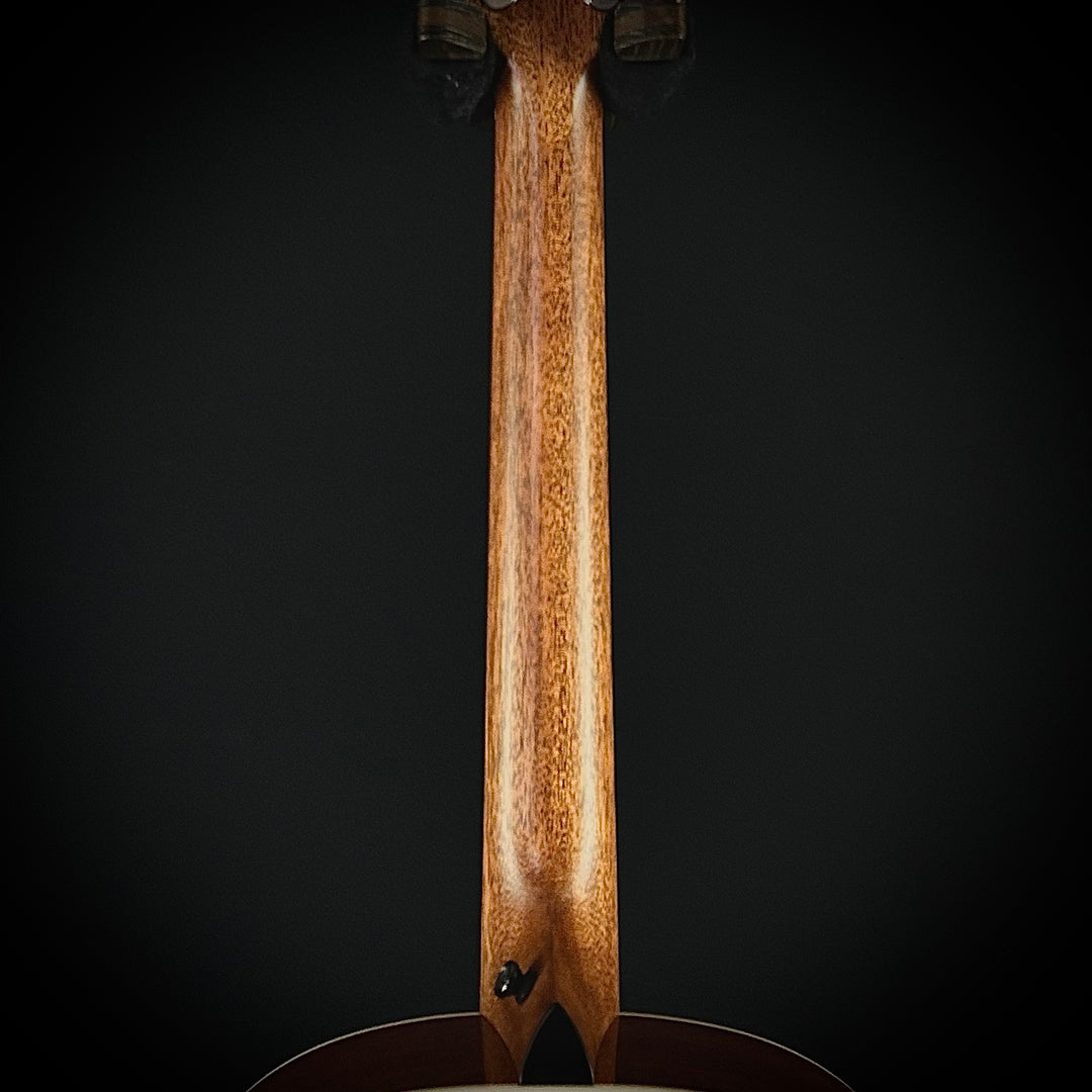 Taylor Gold Label 517E-SB