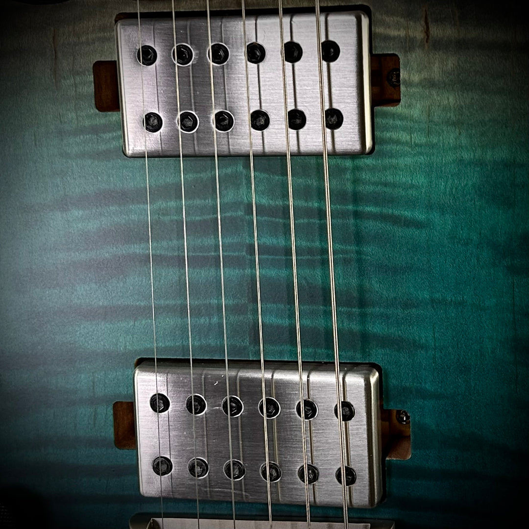 Schecter Lefty C-1 Standard Plus | Lefty