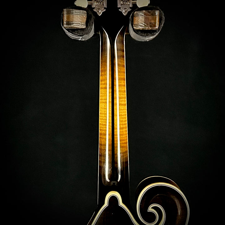 Bourgeois M5-F Sunburst
