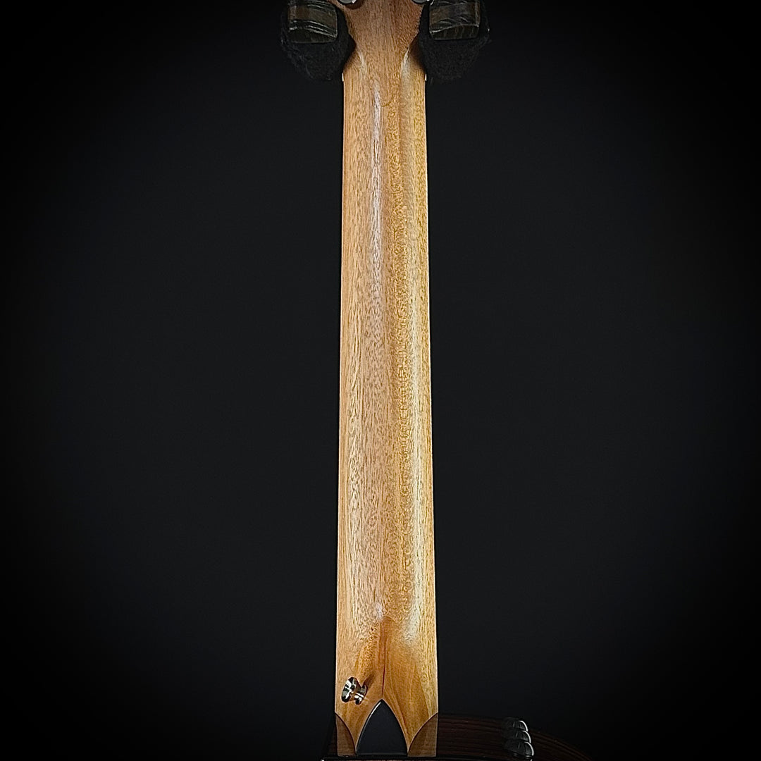 Taylor 254ce Plus - 12-String