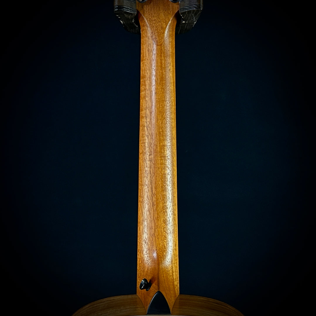 Taylor GS Mini-e Koa