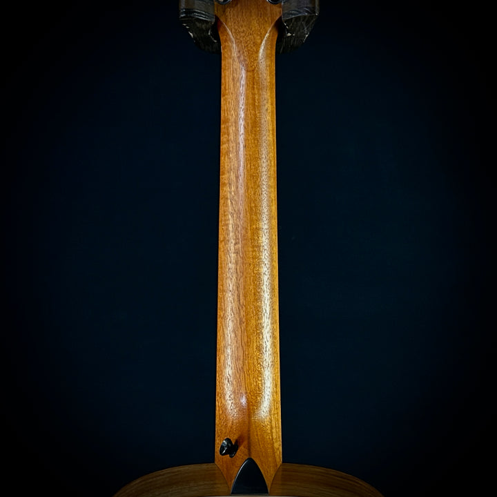 Taylor GS Mini-e Koa