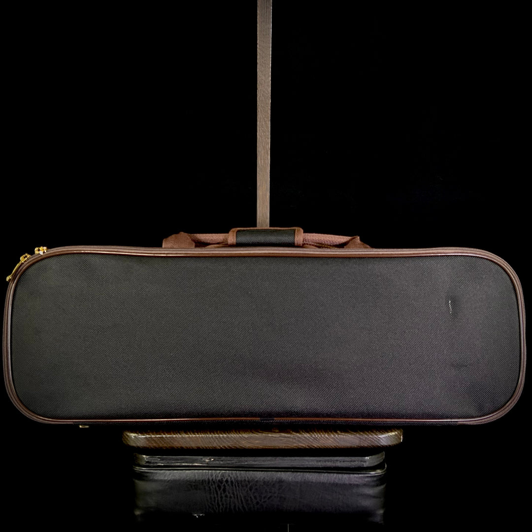 Albini Violin Package (Sizes 4/4, 3/4, 1/2, 1/4)