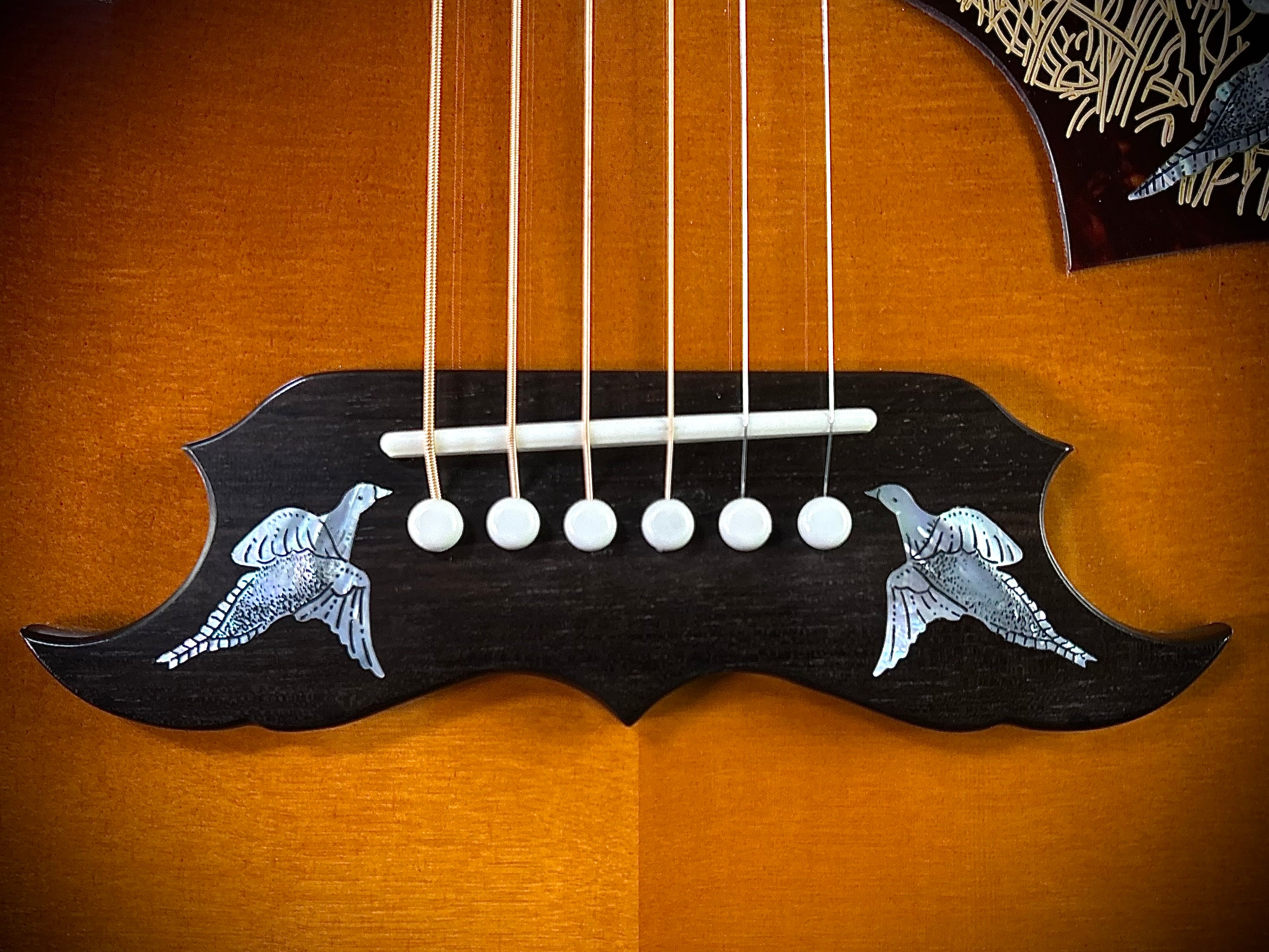 c*z様 オービルbyギブソン　DOVE 楽天市場】【Orville by Gibson】【工房メンテ済】オービルバイ