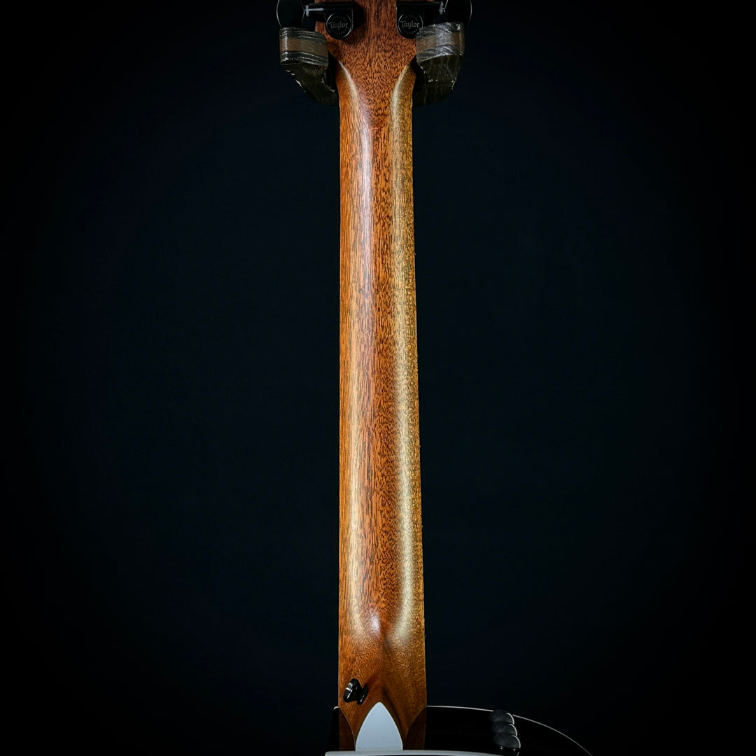 Taylor 214CE Deluxe - Special Edition Black Top