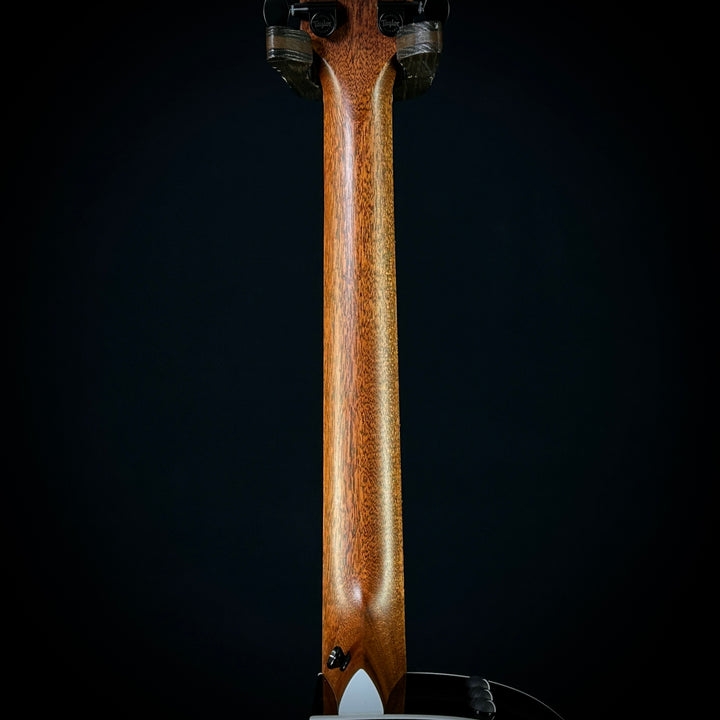 Taylor 214CE Deluxe - Special Edition Black Top