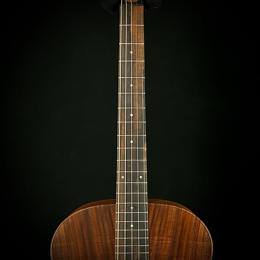 Taylor Jacob Collier Signature Model 5-String