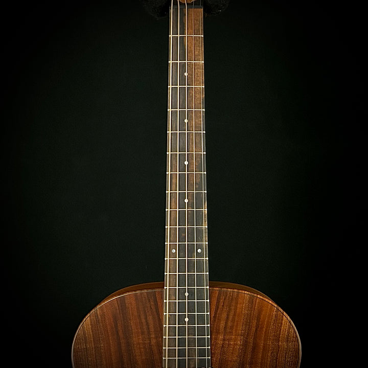 Taylor Jacob Collier Signature Model 5-String