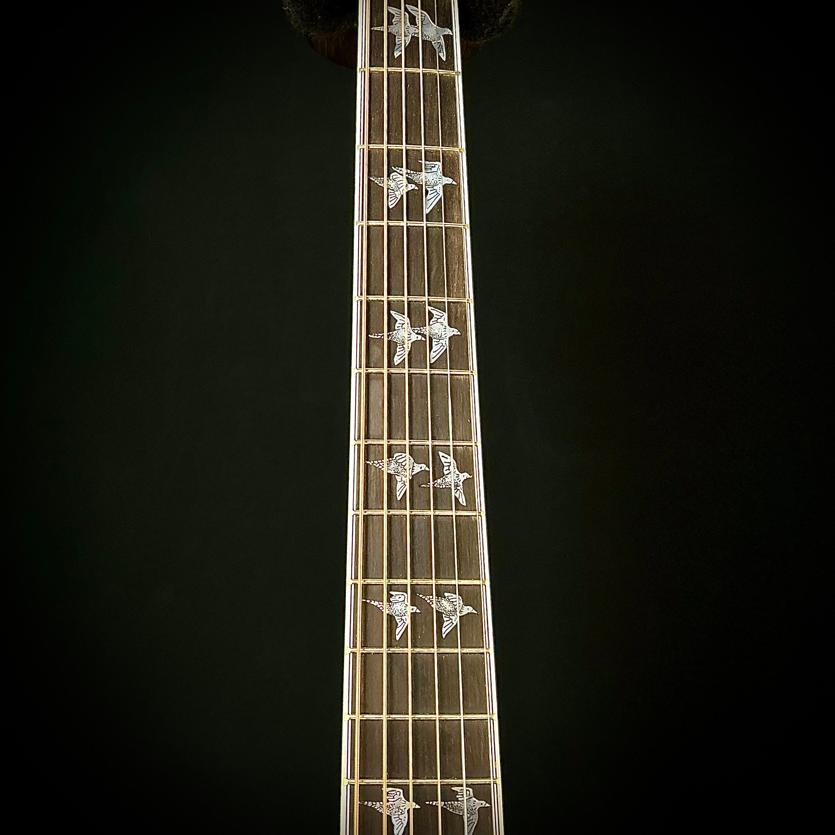  バード　 Dove Gibson Doves in Flight - Autumn Burst – Music Villa MT
