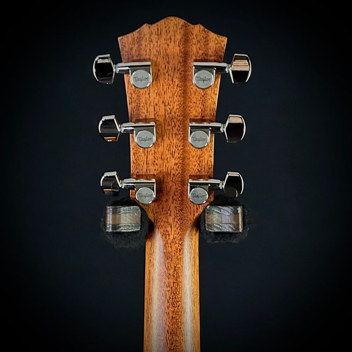 Taylor Gold Label 517E - Natural
