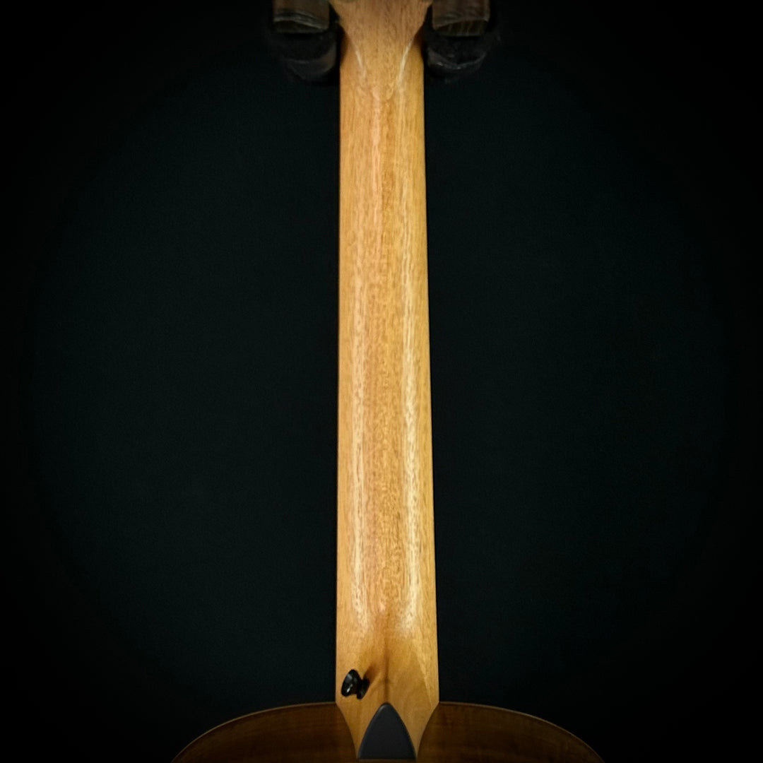 Taylor GS Mini-E Limited - Figured KOA