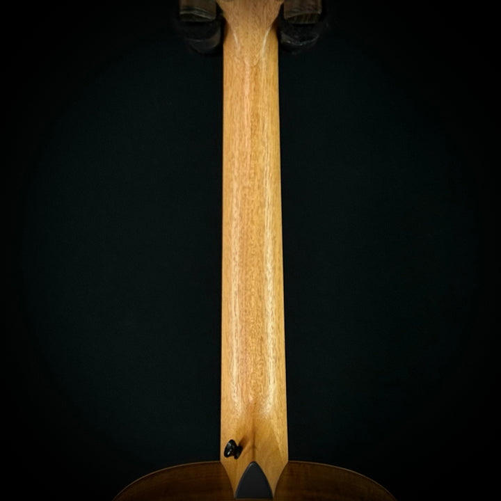 Taylor GS Mini-E Limited - Figured KOA