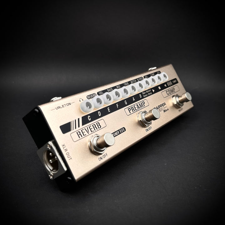 Valeton Acoustic Mini Pre/Tuner/Di/FX (DAPPERACOUSTIC)