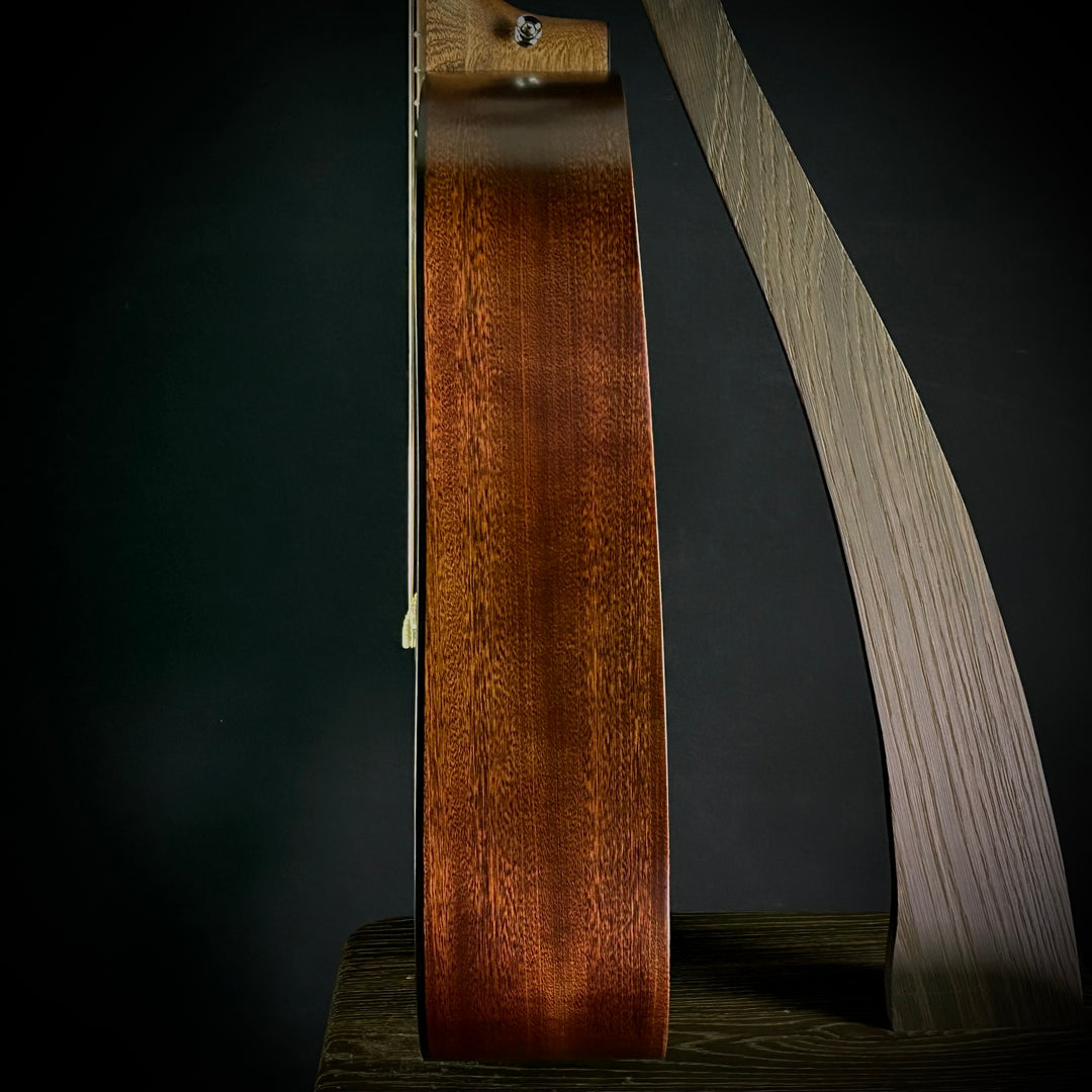 Martin D-10E Retro