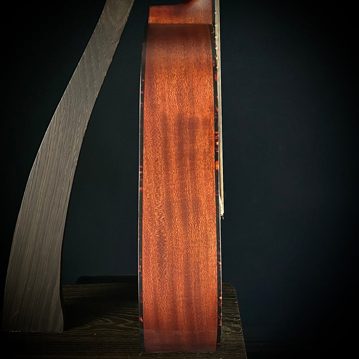 Eastman E1D