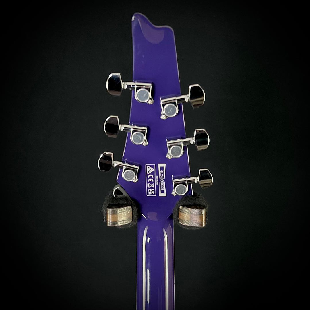 Ibanez Paul Gilbert FRM300