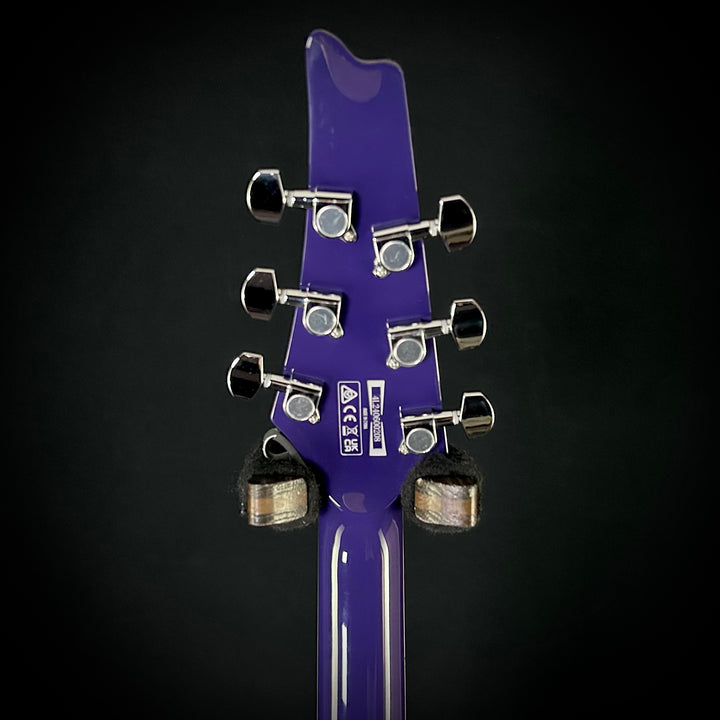 Ibanez Paul Gilbert FRM300