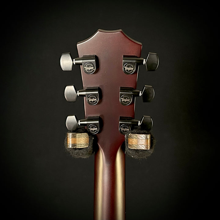 Taylor T5Z Classic - Sassafras